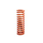 Coil Springs Mold Spring