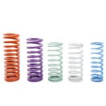 Coil Springs Mold Spring