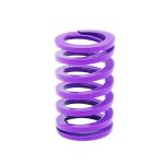 Coil Springs Mold Spring