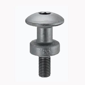 Die Hooks Bolt Type